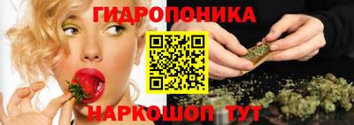 СК Мариинск