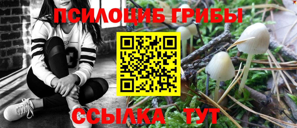 Галлюциногенные грибы GOLDEN TEACHER  Вход с VPN  Гуково 